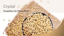  Presentation with oat - Beautiful slides featuring oat-in-metal-mug backdrop and a lemonade colored foreground