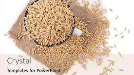  Presentation with oat - Slides with oat-in-metal-mug background and a coral colored foreground