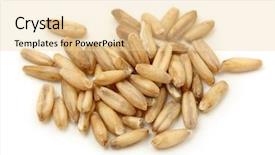  Presentation with oat - Presentation theme with oat isolated on white background macro shot background and a lemonade colored foreground