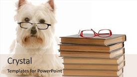  Presentation with west - PPT theme consisting of down beside stack of book background and a coral colored foreground