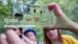  Presentation with glass - Audience pleasing PPT theme consisting of objects inside and inscription development backdrop and a seafoam green colored foreground