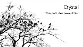  Presentation with photo - Amazing presentation design having spook house - high contast photo of black backdrop and a white colored foreground