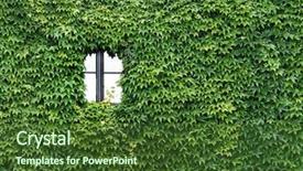  Presentation with ivy - Colorful slides enhanced with occupied - house is overgrown with ivy backdrop and a tawny brown colored foreground