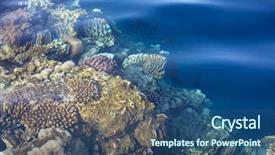  Presentation with egypt medical tourism - PPT theme having ocean - coral reef in red sea background and a ocean colored foreground