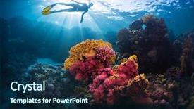  Presentation with egypt - Presentation theme having ocean - free diver swimming underwater background and a navy blue colored foreground