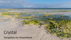  Presentation with zanzibar - Audience pleasing slide set consisting of ocean after low tide backdrop and a mint green colored foreground