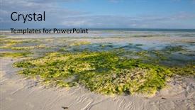  Presentation with tide - Presentation design featuring ocean after low tide background and a light blue colored foreground