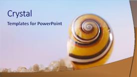  Presentation with seashell - Presentation theme enhanced with ocean beach and golden background and a sky blue colored foreground
