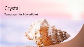  Presentation with seashell - PPT layouts consisting of ocean beach and golden background and a lemonade colored foreground