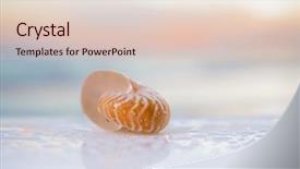  Presentation with sea shell - Theme having ocean beach and golden background and a lemonade colored foreground