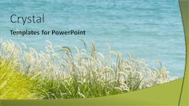  Presentation with heads - Presentation design featuring ocean-beach-scene-with-fluffy background and a light blue colored foreground