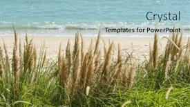  Presentation with heads - Slide deck consisting of ocean-beach-scene-with-fluffy background and a light blue colored foreground