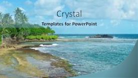  Presentation with palm beach - 