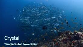  Presentation with bullying in school - PPT theme enhanced with ocean bottom - swirling school of jack fish background and a navy blue colored foreground