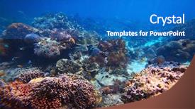 Presentation with coral - Presentation theme with ocean bottom - underwater shoot of a vivid background and a teal colored foreground