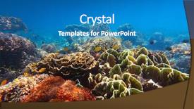  Presentation with fishes - Amazing slide deck having ocean bottom - underwater shoot of vivid coral backdrop and a teal colored foreground