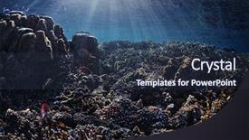  Presentation with fishes - Colorful PPT theme enhanced with ocean bottom - vivid coral reef and tiny backdrop and a tawny brown colored foreground