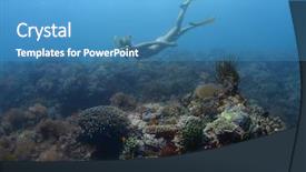  Presentation with sea coral - Cool new slide set with ocean bottom - young lady freediver exploring coral backdrop and a teal colored foreground