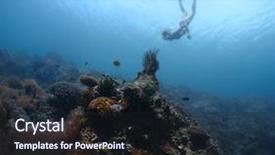  Presentation with sea coral - Amazing slides having ocean bottom - young lady freediver exploring coral backdrop and a wine colored foreground