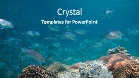  Presentation with ocean - PPT layouts featuring ocean conservancy - huge school of jackfish background and a  colored foreground