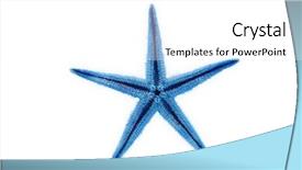  Presentation with starfish - Audience pleasing presentation theme consisting of ocean creatures - blue starfish against white background backdrop and a white colored foreground