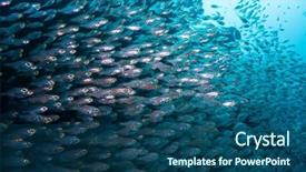  Presentation with sea glass - PPT layouts featuring ocean floor - bunch of glass-fish met background and a  colored foreground