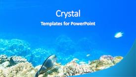  Presentation with tranquil - Theme having ocean floor - tranquil underwater scene with copy background and a  colored foreground