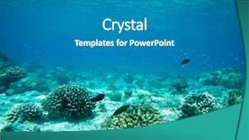  Presentation with scene - Slide set featuring ocean floor - underwater scene with copy space background and a  colored foreground