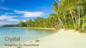  Presentation with tiger in a jungle - Amazing PPT theme having blue sky at sunset backdrop and a dark gray colored foreground.