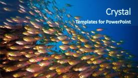  Presentation with sea glass - Audience pleasing PPT theme consisting of ocean life - coral and glass fish backdrop and a ocean colored foreground