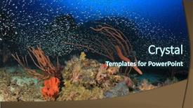  Presentation with underwater - Cool new slides with ocean life - reef fish underwater backdrop and a navy blue colored foreground