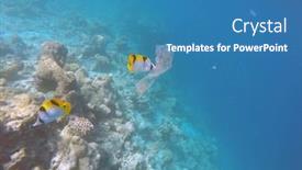  Presentation with ocean pollution - Slide deck featuring ocean-pollution-with-pastic background and a teal colored foreground