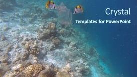  Presentation with ocean pollution - Cool new theme with ocean-pollution-with-pastic backdrop and a ocean colored foreground