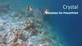  Presentation with ocean pollution - PPT theme consisting of ocean-pollution-with-pastic background and a ocean colored foreground