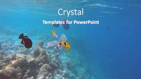  Presentation with ocean pollution - PPT layouts featuring ocean-pollution-with-pastic background and a teal colored foreground