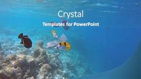  Presentation with ocean pollution - Cool new slides with ocean-pollution-with-pastic backdrop and a teal colored foreground