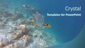  Presentation with ocean pollution - Presentation design featuring ocean-pollution-with-pastic background and a ocean colored foreground