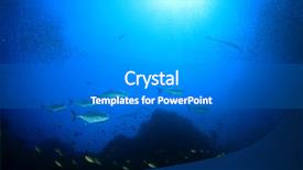  Presentation with tuna fish underwater in ocean - Theme having ocean reef and fish underwater background and a gray colored foreground