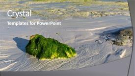  Presentation with green abstract - Slide deck with ocean shore after low tide background and a mint green colored foreground