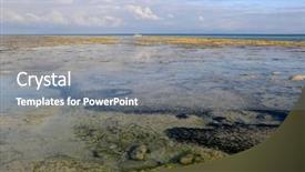  Presentation with tide - Slide set with ocean shore after low tide background and a gray colored foreground