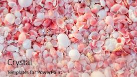  Presentation with sand ocean - Presentation theme featuring ocean shores - pink sand beach on barbuda background and a coral colored foreground