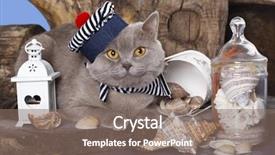  Presentation with hat - PPT theme enhanced with ocean themes - cat in the hat sailor background and a violet colored foreground