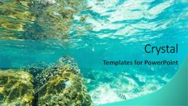  Presentation with ocean cartoon - Theme consisting of ocean underwater background - luxury nature background and a teal colored foreground
