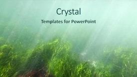  Presentation with san diego california - Cool new presentation theme with ocean water and sea grass backdrop and a cool aqua colored foreground