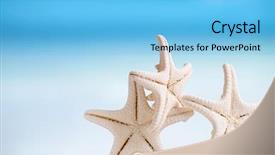 Presentation with sand ocean - PPT theme having ocean white sand beach background and a light blue colored foreground