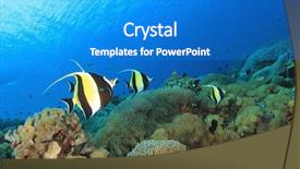  Presentation with fish ocean - PPT layouts having ocean with moorish idol background and a teal colored foreground