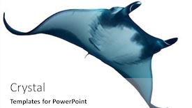  Presentation with history earth globe isolated white - Slides having oceanic-manta-ray-isolated background and a white colored foreground