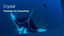  Presentation with gamma ray particle accelerator - PPT theme having oceanic-manta-ray-manta-birostris background and a dark gray colored foreground
