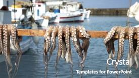  Presentation with solar drying - Slide set having octopus drying on a stick background and a gray colored foreground