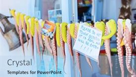  Presentation with octopus - Cool new PPT theme with octopus-hanging-on-a-line backdrop and a  colored foreground